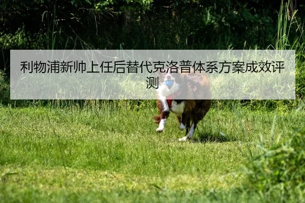 li-wu-pu-xin-shuai-shang-ren-hou-ti-dai-ke-luo-pu-ti-xi-fang-an-cheng-xiao-ping-ce-2-675.jpg
